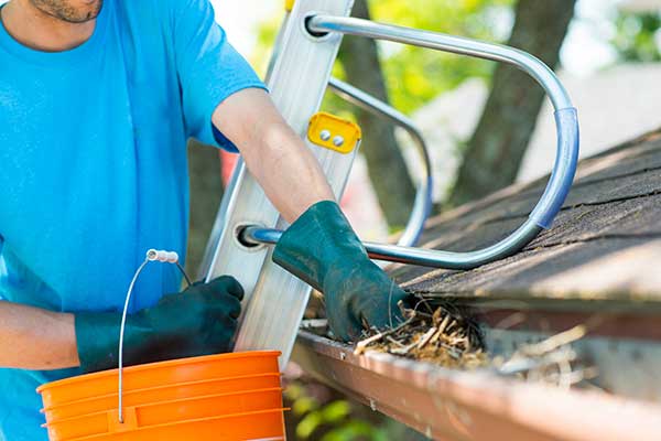Gutter Cleaning Services Gutter Cleaning Services