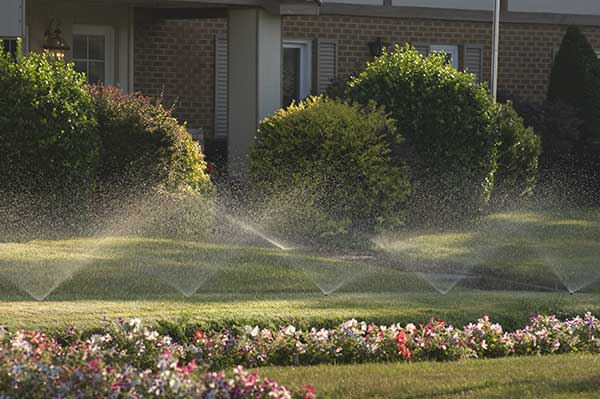 Gutter Unclogging Services Lawn Sprinkler System Projects