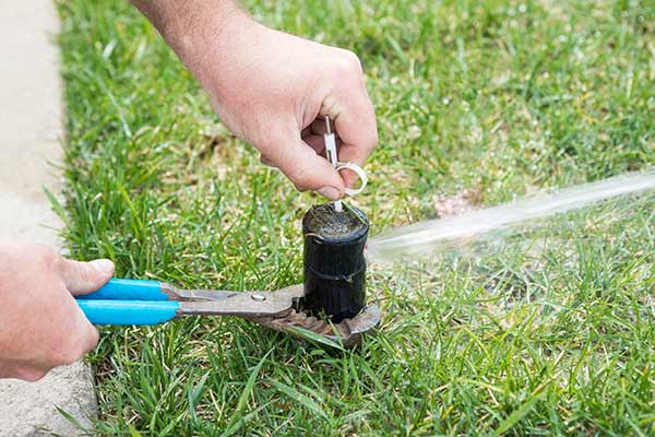 Learn More About Sprinkler Installation Maintenance