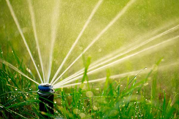 Pop-up Sprinkler System Installation