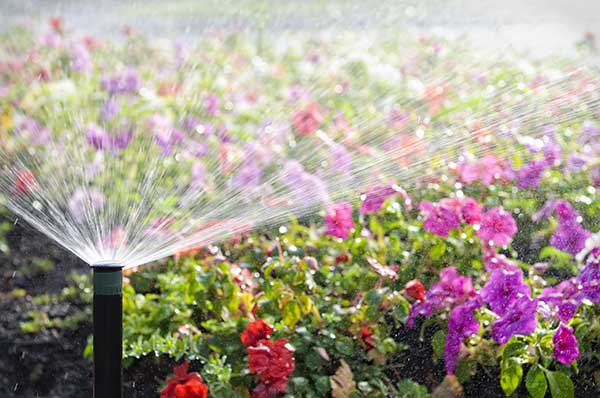 Reliable Gutter Contractor Spray Sprinkler System Services