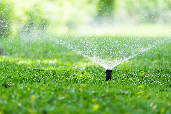 Sprinkler System Repair Servicing