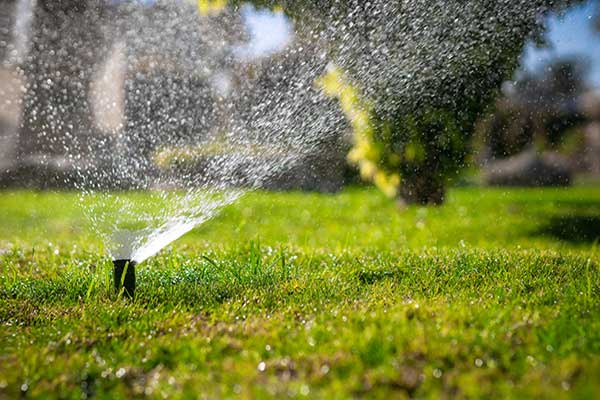 Sprinkler System Services